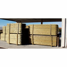 F3019C060 STUP OD BOROVINE tokareni s vrhom 10 x 150