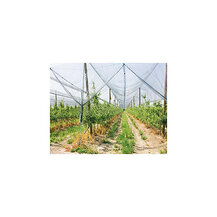 F304641088 MREŽA PROTIV TUČE od 4 x 10 m Art. 91984 Cenigomma